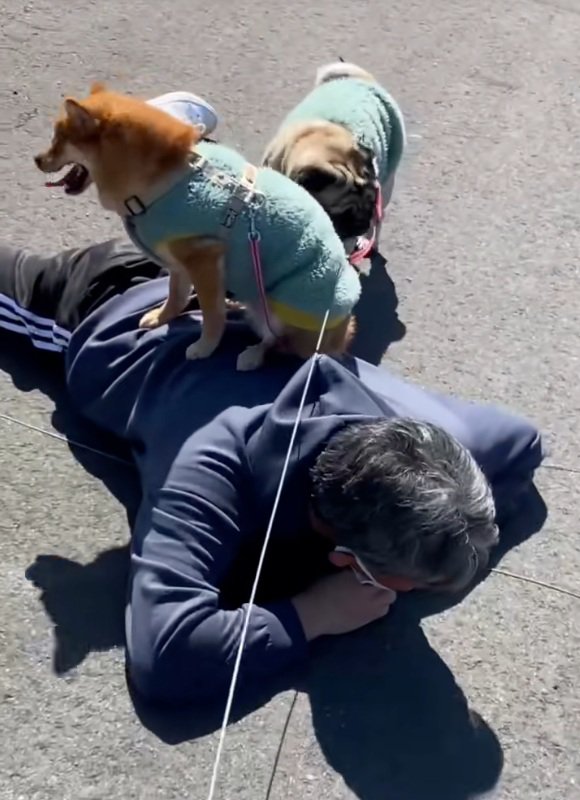 転んだお父さん