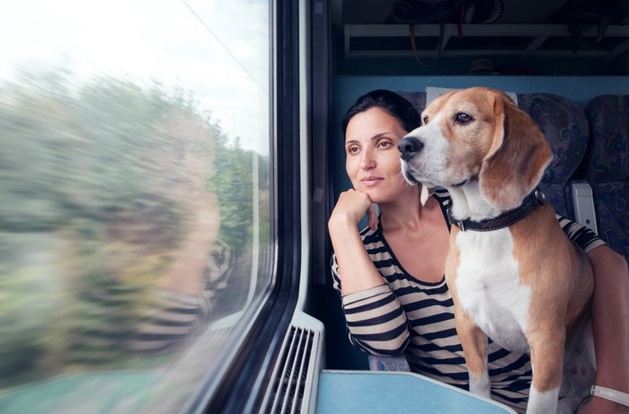 電車に乗っている犬と女性