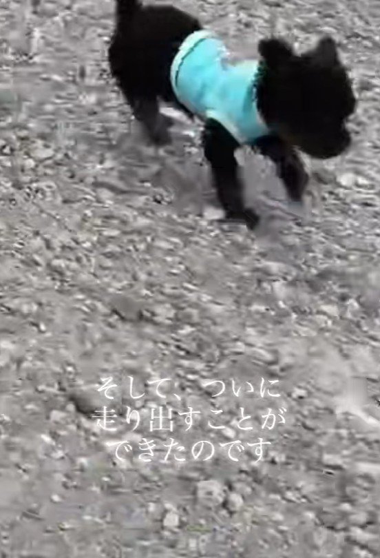 ひとりで走り回れるように！！