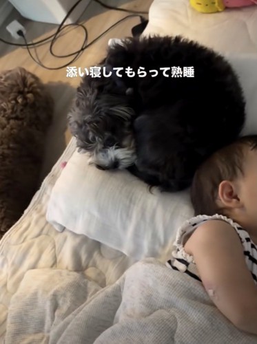 2匹も一緒に子育て中です