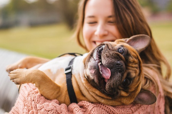 女性に抱っこしてもらう犬