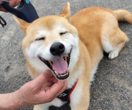 ニコッ