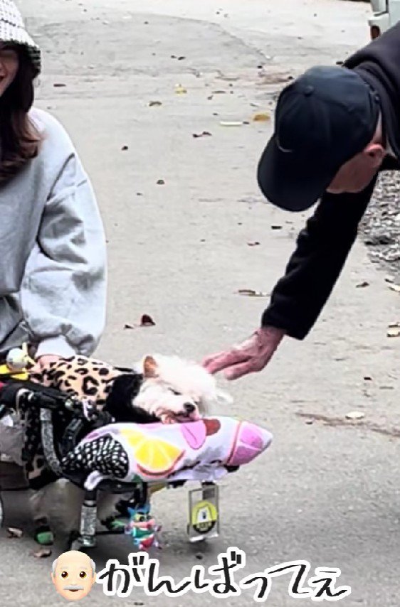 お散歩中に出会ったおじいちゃん