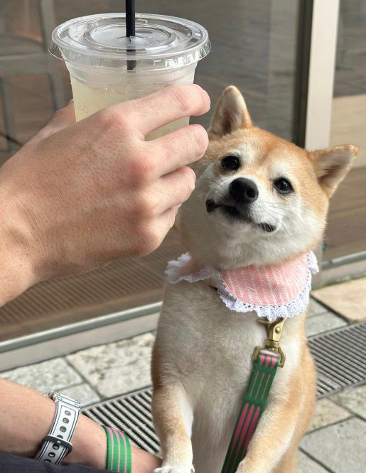 圧をかける顔もニッコリ