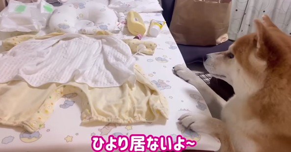 赤ちゃんが見当たらない！