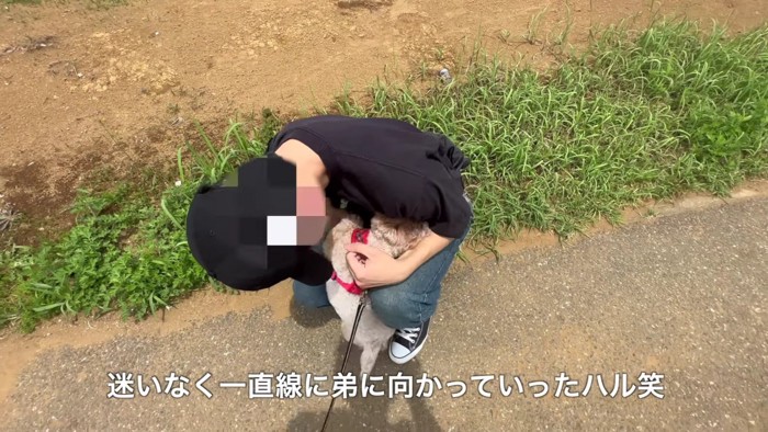 弟さんに飛びつくハルちゃん