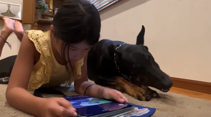 タブレットを見る女の子と骨をかじる犬