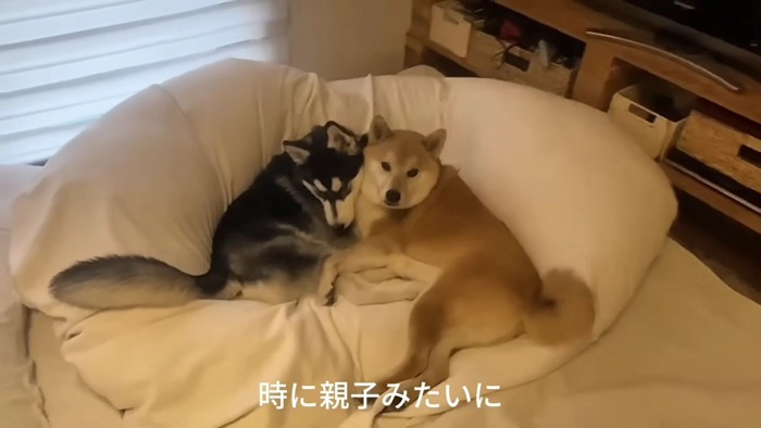 あっという間に仲良し