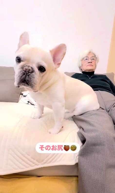 エルモくんとおばあちゃんの日常4