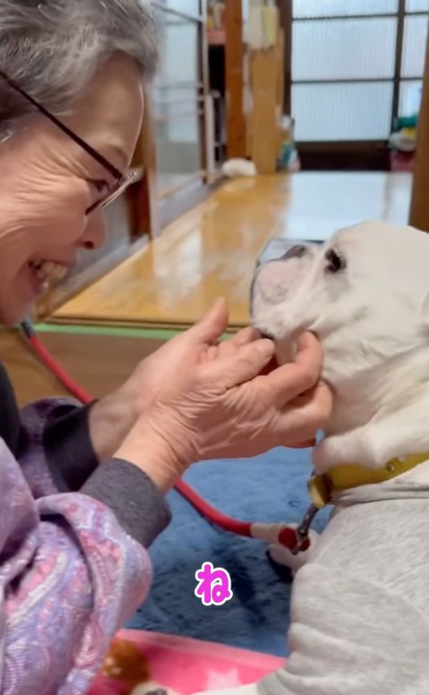 犬に話しかける