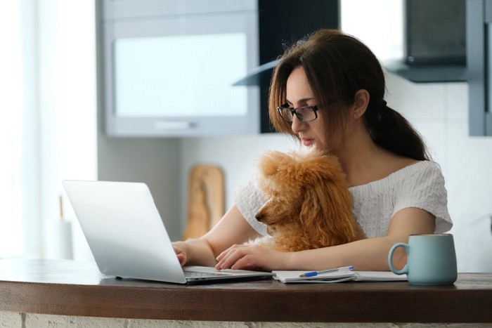 女性と一緒に作業するプードル