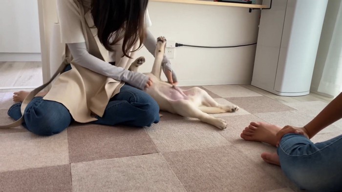 大好きな人との再会を喜ぶ虎丸くん⑩