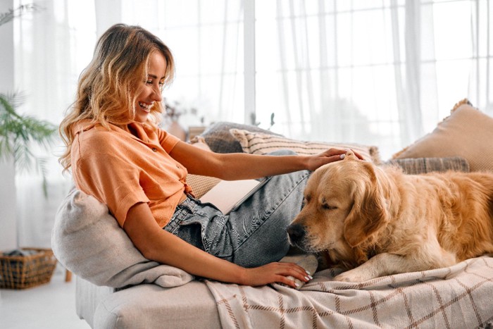 ソファの上で一緒に過ごす犬と女性