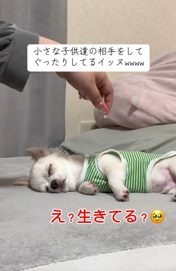 眠ったままの凛くん