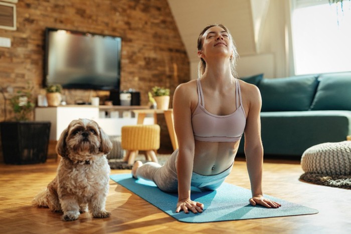 女性とストレッチしている犬