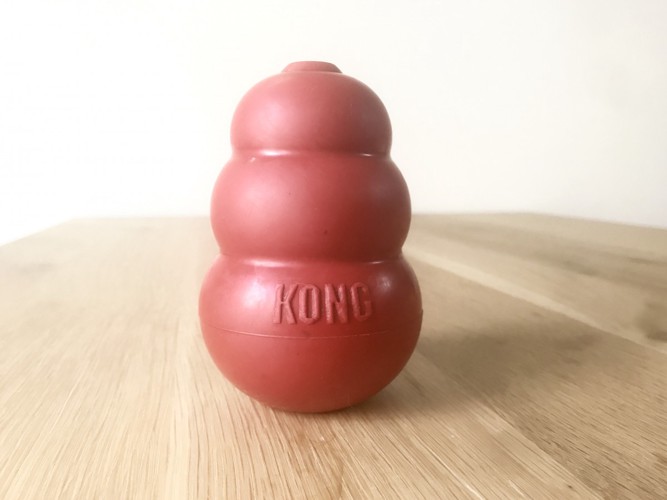 最も定番のKONG