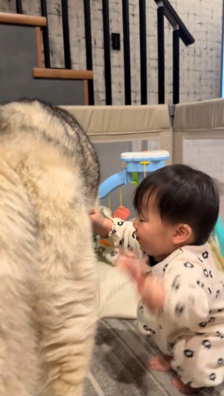 腕を広げて立ち上がろうとする赤ちゃん