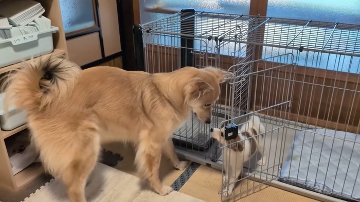 尊い光景にほっこり