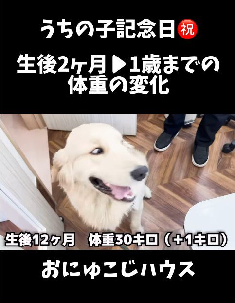 麹くんの成長9
