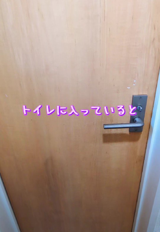 トイレへ入っていたとき…