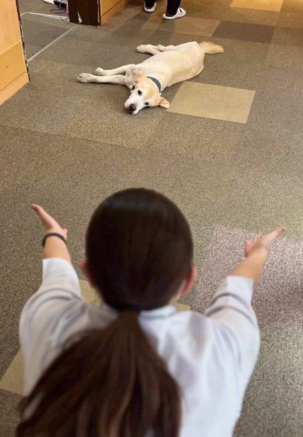 手を広げる職員さん