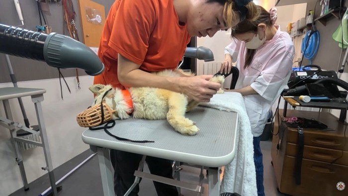 リラックス中♡