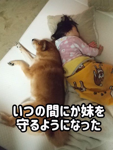 一緒に寄り添う関係に…
