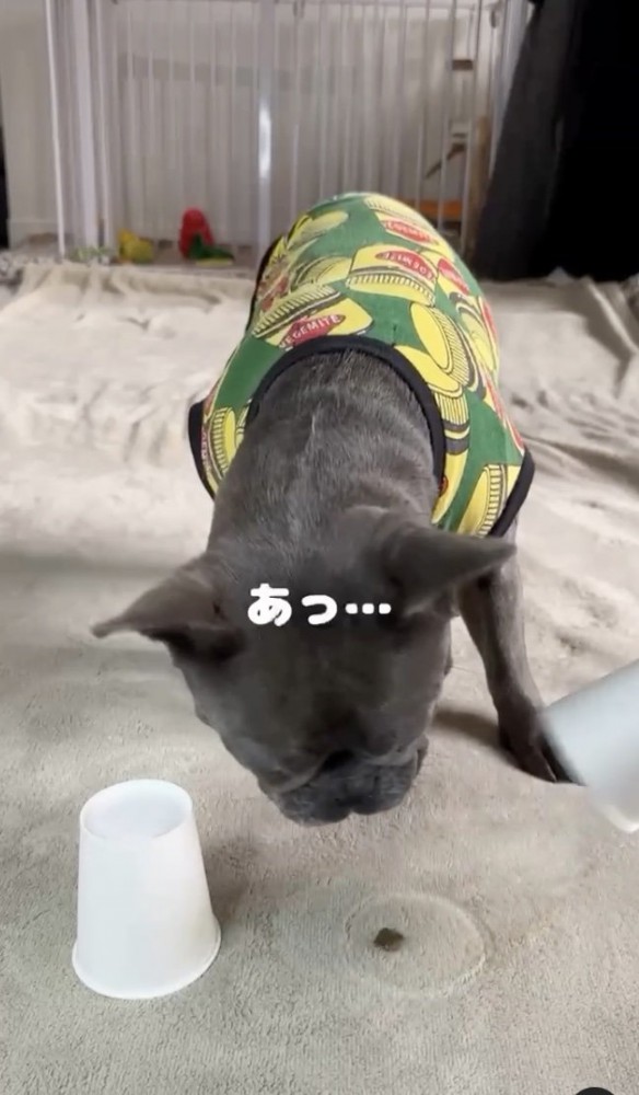 ミスった