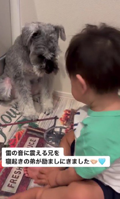 キッチンで震えていたら…