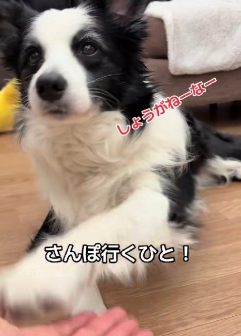 「仕方ないな~」