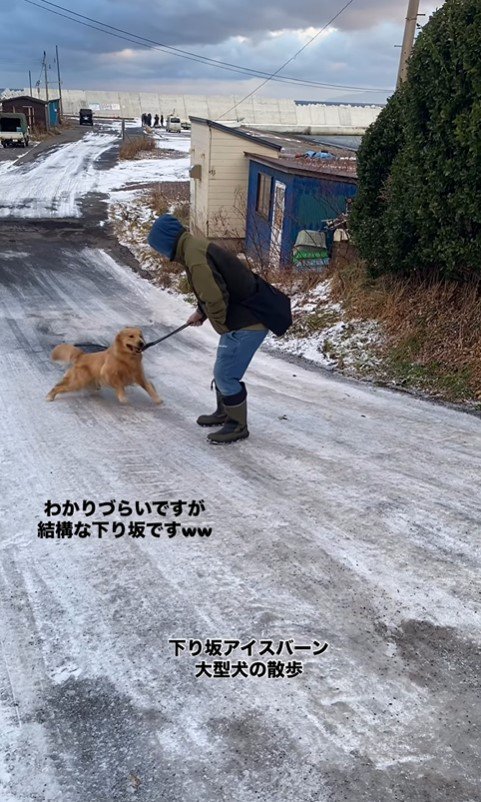 凍った坂を下るじろ君と飼い主さん7