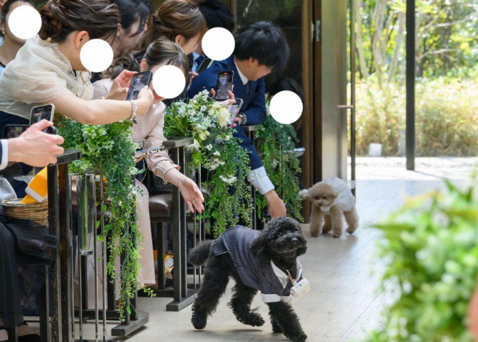 会場からは温かな笑顔が…