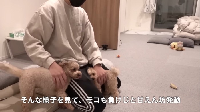 撫でられる2匹の犬