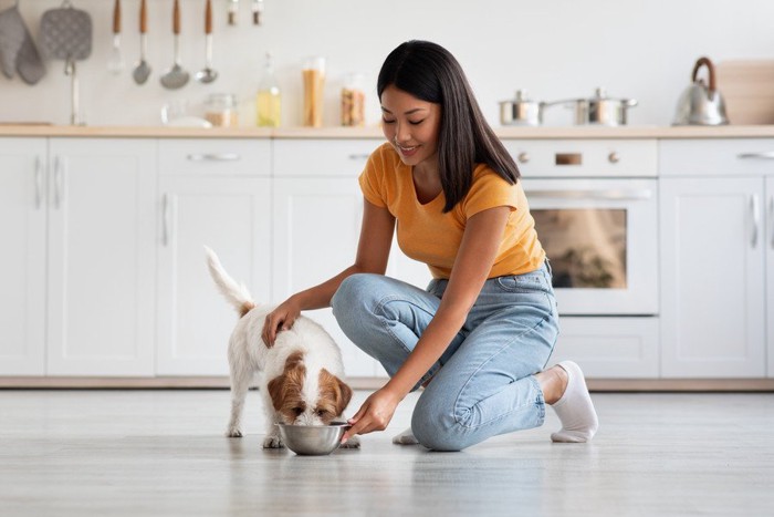 ご飯を食べる犬を撫でる