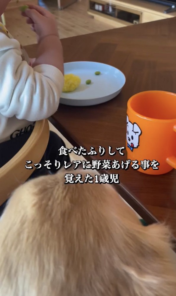 隣にピッタリ