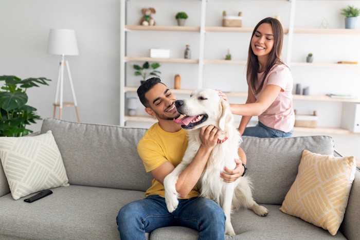 ソファーに座る犬と男女