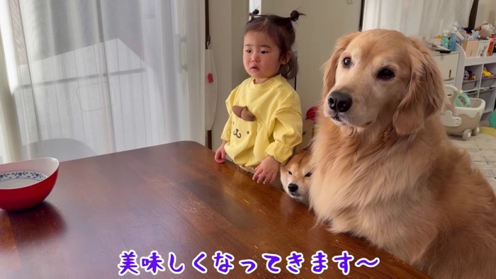 完成が待ちきれなくて…