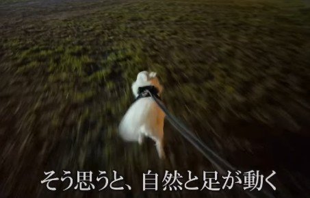 「本当にママがいるのかも！」
