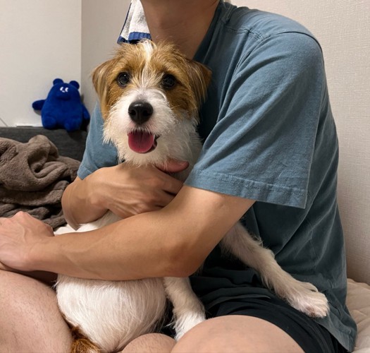 オヤツ