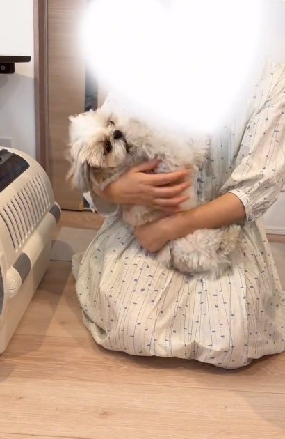 抱っこされるkokoちゃん
