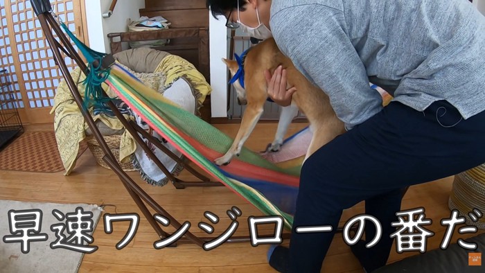 さっそく乗せようとしたら…