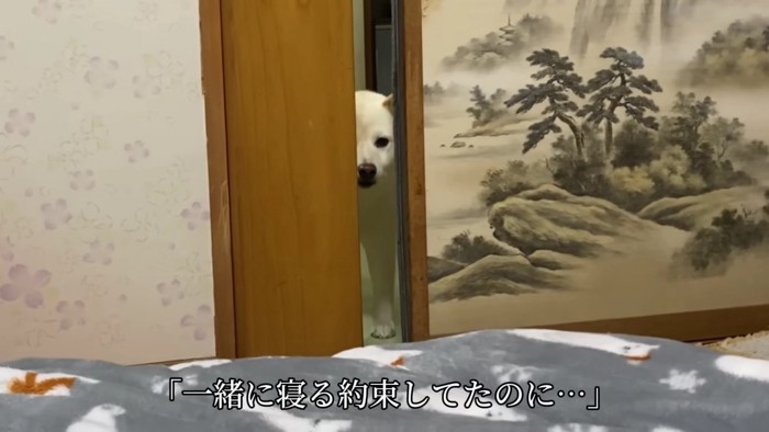 ちょっぴり切ない表情に…