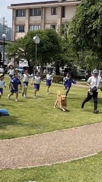 小学生と走るゴールデンレトリバーアップ