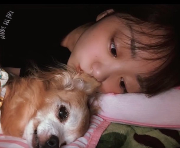 女の子と犬