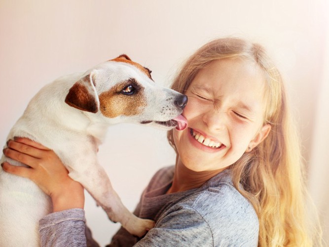 飛びついた人を舐める犬