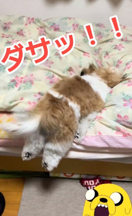 ダサカワな太郎くん