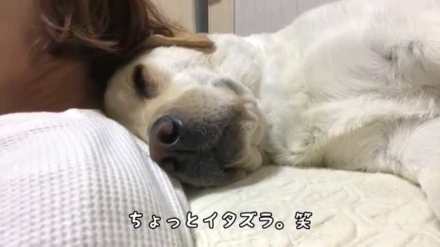 ちょっと～字幕