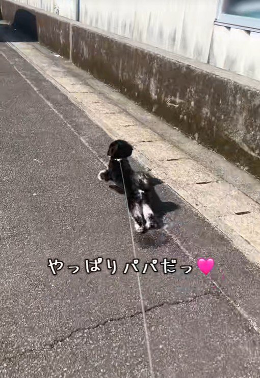 大喜びでダッシュ!