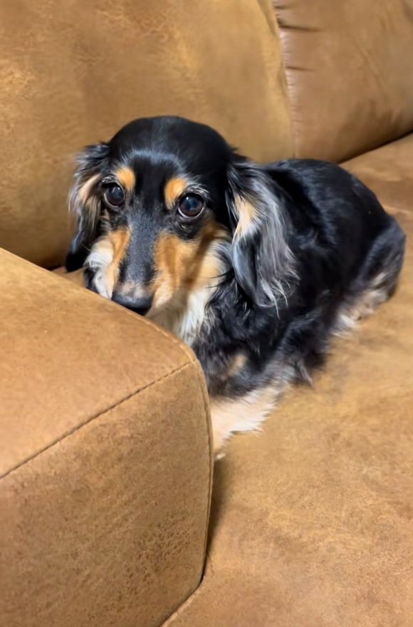 震えだすまるちゃん