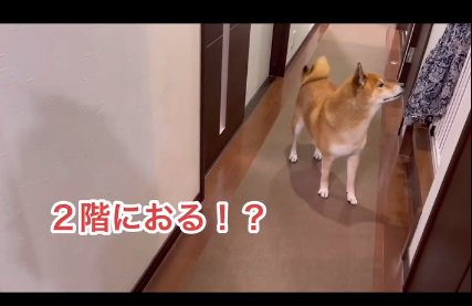 2階を怪しむロックくん